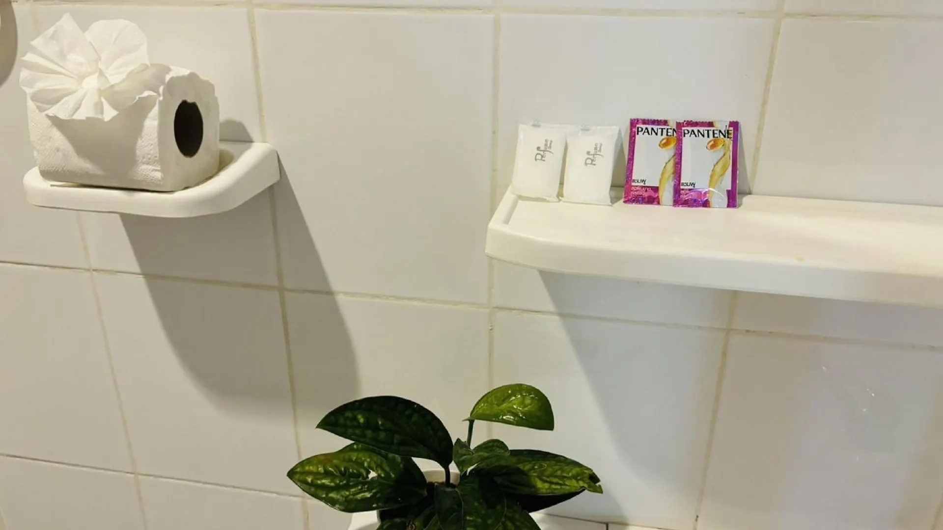 皮皮岛 White House酒店 0*,  泰国